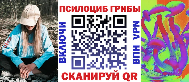 Галлюциногенные грибы MAGIC MUSHROOMS  Макаров 